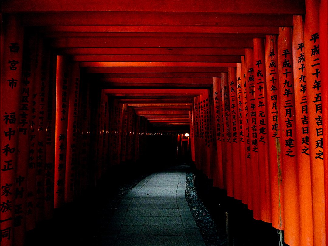 ⛩️ 시노다 숲 신사(시노다노모리 진자) 이미지 7